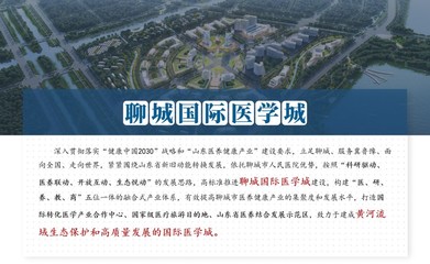 東灘顧問順利推進《聊城醫養健康城概念策劃》項目中期匯報工作